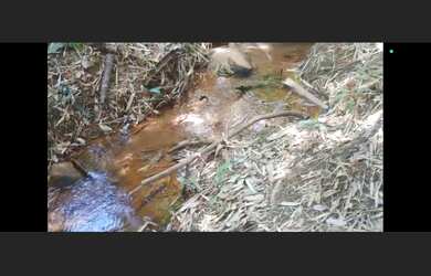 Imagem 5: Terreno de 15 mil mt em oliveira