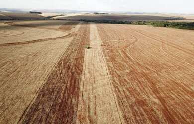 Imagem 3: FAZENDA PROXIMA A CASCAVEL