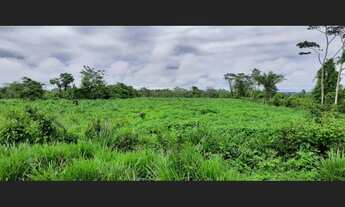 Imagem: Fazenda - à venda - 5.000ha- Sena Madureira-AC
