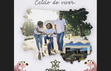 Imagem 7: BOSQUE DAS ORQUÍDEAS