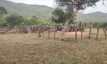 Imagem 2: SITIO 82 HECTARES TERRA BOA COM RIO EM CACERES MT