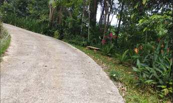 Imagem 7: Vendo Ótimo Sítio em Testo Central, Pomerode