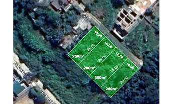 Imagem: Lotes com 250 m²
