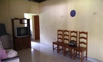 Imagem 2: Açaizal a 30 km de Castanhal por 500 mil reais 100 hectares, uns 15 mil pés de açaí