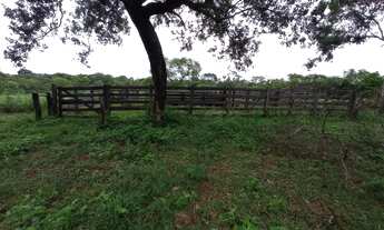 Imagem 2: Vende-se sítio em chapada dos Guimarães