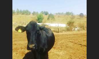 Imagem: Fazendinha de 9 ha em passa tempo