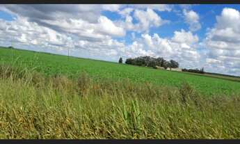 Imagem 3: HIPER FAZENDA NA BAHIA