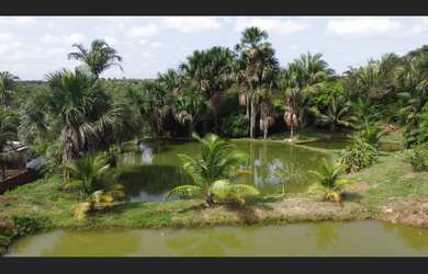 Imagem 2: Chácara/Sítio no Bairro do Gapara | + de 10.000m²