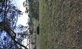 Imagem 2: Terreno de 69 há em oliveira MG