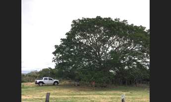 Imagem: Venda de propriedade rural em morro do chapeu