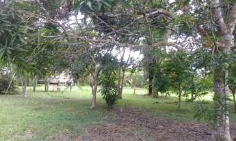 Imagem 4: Chácara Chácara com 2 dormitórios