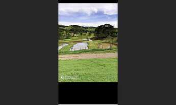 Imagem 4: Fazenda de 24 há em Desterro de Entre Rios MG