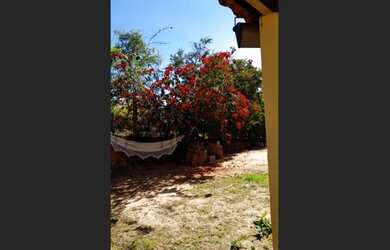 Imagem 6: Ótima chácara !