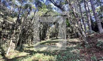 Imagem 6: Chácara à Venda em Juquitiba com 10.061 m2, 3 casas, bosque e ótimo acesso!