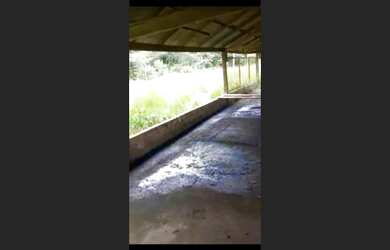 Imagem 4: R$220 mil 25 hectares próximo de Santa izabel do Pará