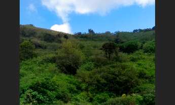 Imagem 2: Terreno com Ampla Área em Gavião - 17.100 m²