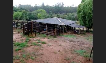 Imagem 2: Fazenda de 25 ha em Itaguara