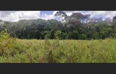 Imagem 14: Excelente fazenda para investimento