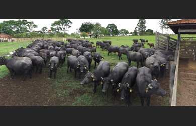 Imagem 2: ÓTIMA OPORTUNIDADE DE NEGÓCIO