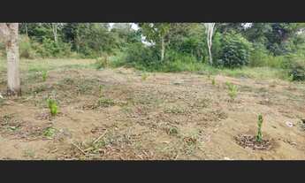 Imagem 4: Vendo Chácara de 5.000m² com uma Casa de 110m² em Barra do Choça