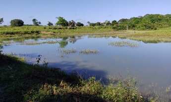 Imagem 2: Fazenda 340 alqueires porteira fechada no Pará documentada R$22 milhões