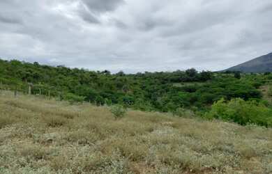 Imagem 2: Terreno 20 Tarefas de Terra