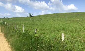 Imagem 4: Fazenda com 400 hectares no Pará sentido Bragança pronta por R$2,5 milhões