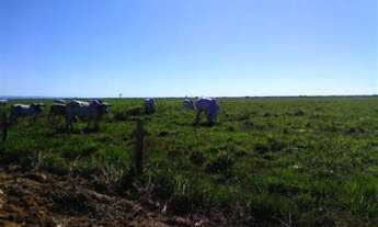 Imagem: Fazenda Município próximo Rondônia, fazenda