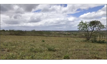 Imagem: Vendo Terreno no Loteamento Eucalipto