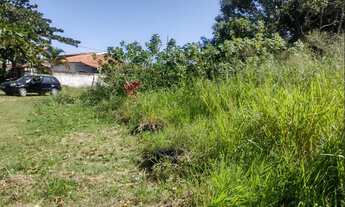 Imagem 4: Lote Inteiro, 100 Metros Do Mar!