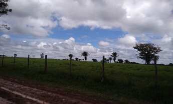 Imagem 5: Fazenda 340 alqueires porteira fechada no Pará documentada R$22 milhões