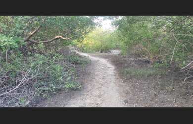 Imagem 5: Terreno 10.000 metros quadrado no Distrito de Aranaú