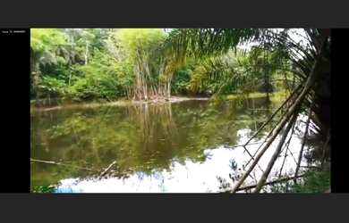 Imagem 6: Fazenda no Sul da Bahia, Una, 1100 Hectares ZAP 73999559555