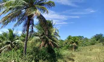 Imagem: Terreno em Ferreiro Torto - 18.505 m2 Macaiba