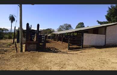 Imagem 3: Fazenda de 2.195 há em Baldim MG
