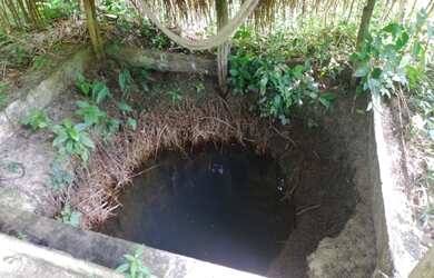 Imagem 6: Sítio com 72 hectares fica sentido Capanema por R$210 mil