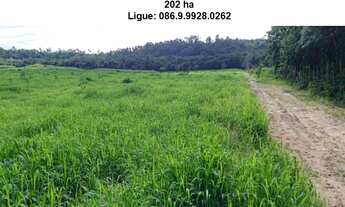 Imagem 5: Fazenda de 200 h em Teresina-Pi