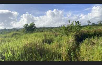 Imagem 7: Fazenda na região jaguaripe
