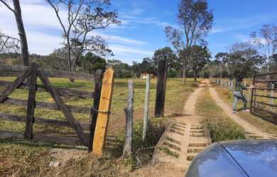 Imagem 14: Fazenda de 60 ha em Itapecerica MG