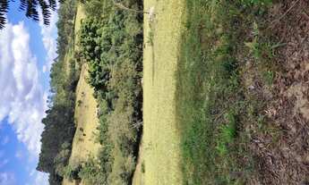 Imagem 6: Terreno de 10 há em Piedade dos Gerais MG