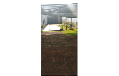 Imagem 7: Imóvel Comercial