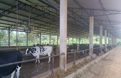 Imagem 6: Fazenda de 283 há em São João del rei MG