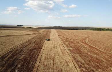 Imagem 4: FAZENDA PROXIMA A CASCAVEL