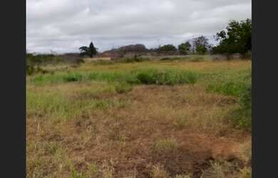 Imagem 2: Amplo Terreno em Jacobina - 12.900 m²