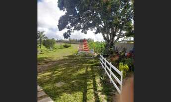 Imagem 2: Por R$ 360 mil excelente CHACARÁ c/2 casas, 4 tarefas na cidade de Salgado/SE