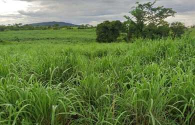 Imagem 2: 2725 HECTÁRES EM MONTE ALEGRE DE GOIÁS