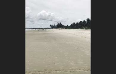 Imagem 5: Venda ou Aluguel