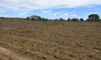 Imagem 4: 516 Alqs arrendamento Disponivel P Soja Silvanópolis TO