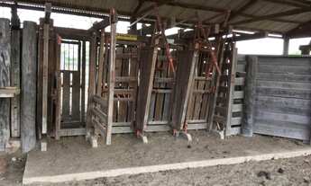 Imagem 3: Fazenda em Paranatinga -MT