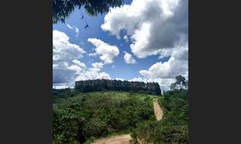 Imagem 2: Terreno de 15 ha em Passa Tempo MG